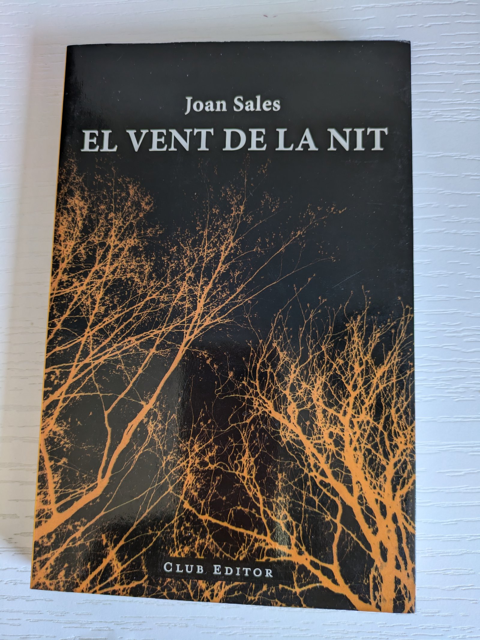 E l vent de la nit