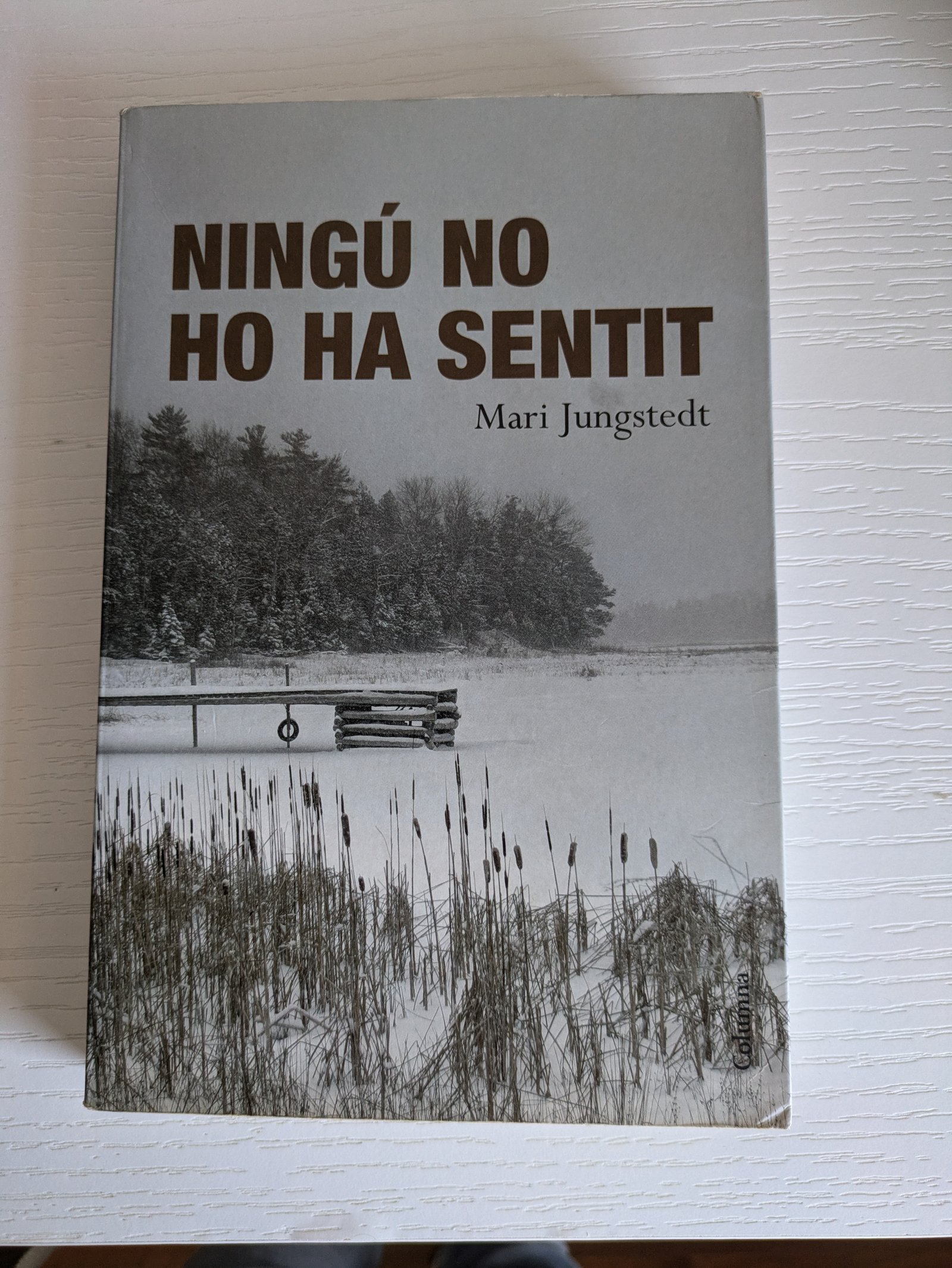 Ningu no ho ha sentit