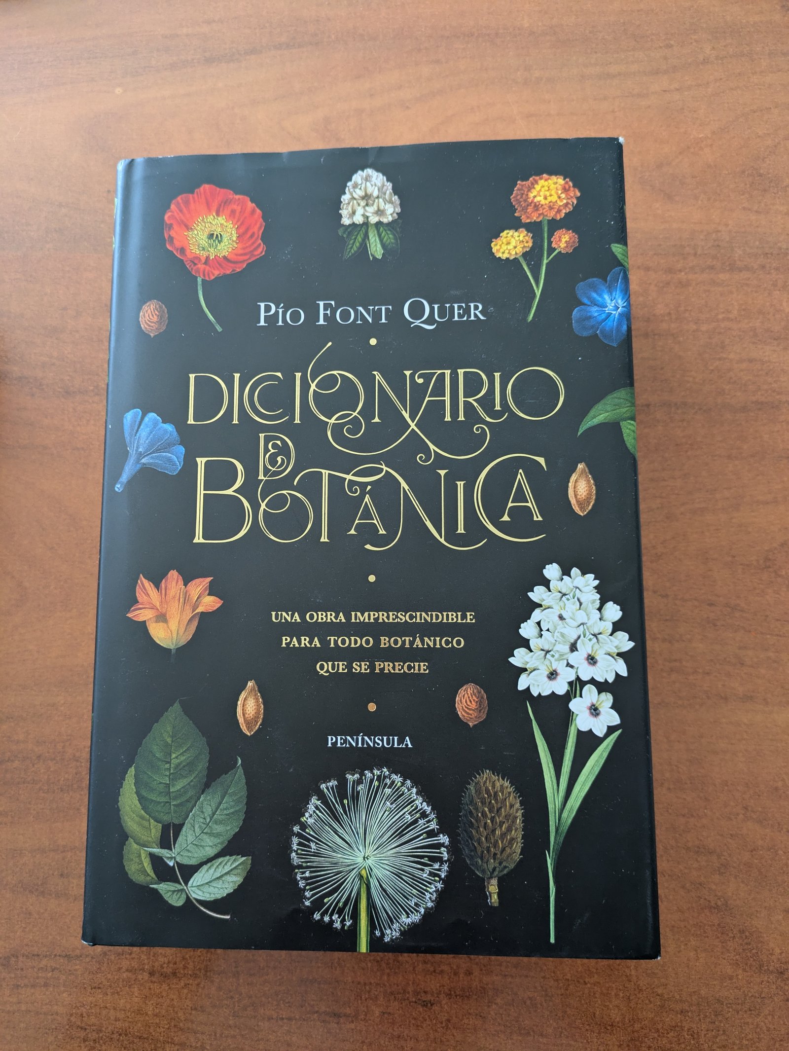 Diccionario de Botanica